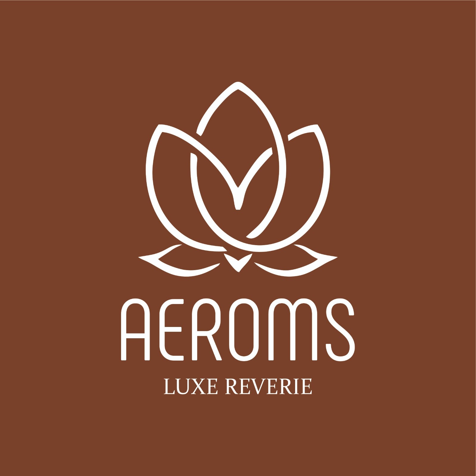 Aeroms - Aritha Powder (Reetha) – Natural Herbal Cleanser for Hair100% Organic | Sulfate-Free Cleansing | Anti-Dandruff | Promotes Strong & Shiny Hair - Lonavalafoods.com
