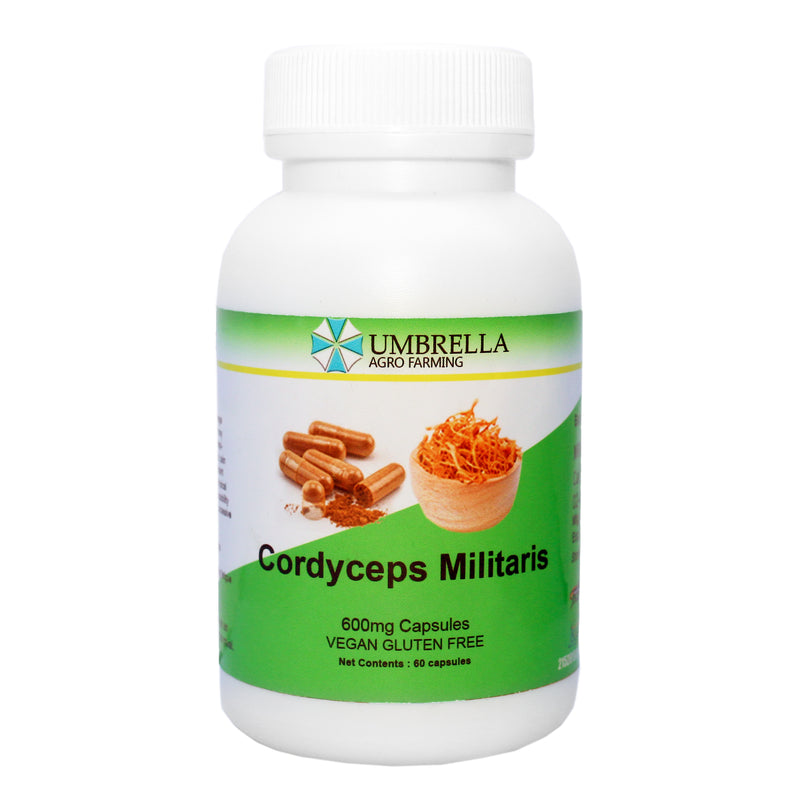 Cordyceps Militaris Capsule