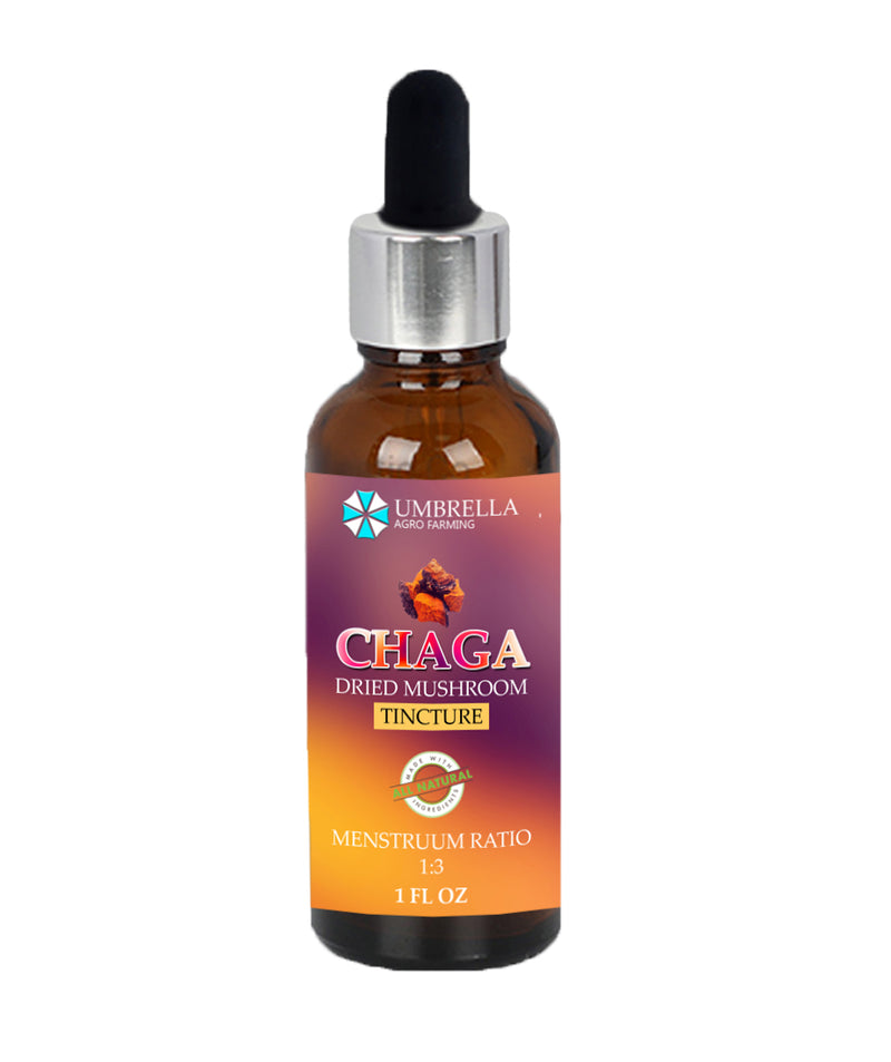 Chaga