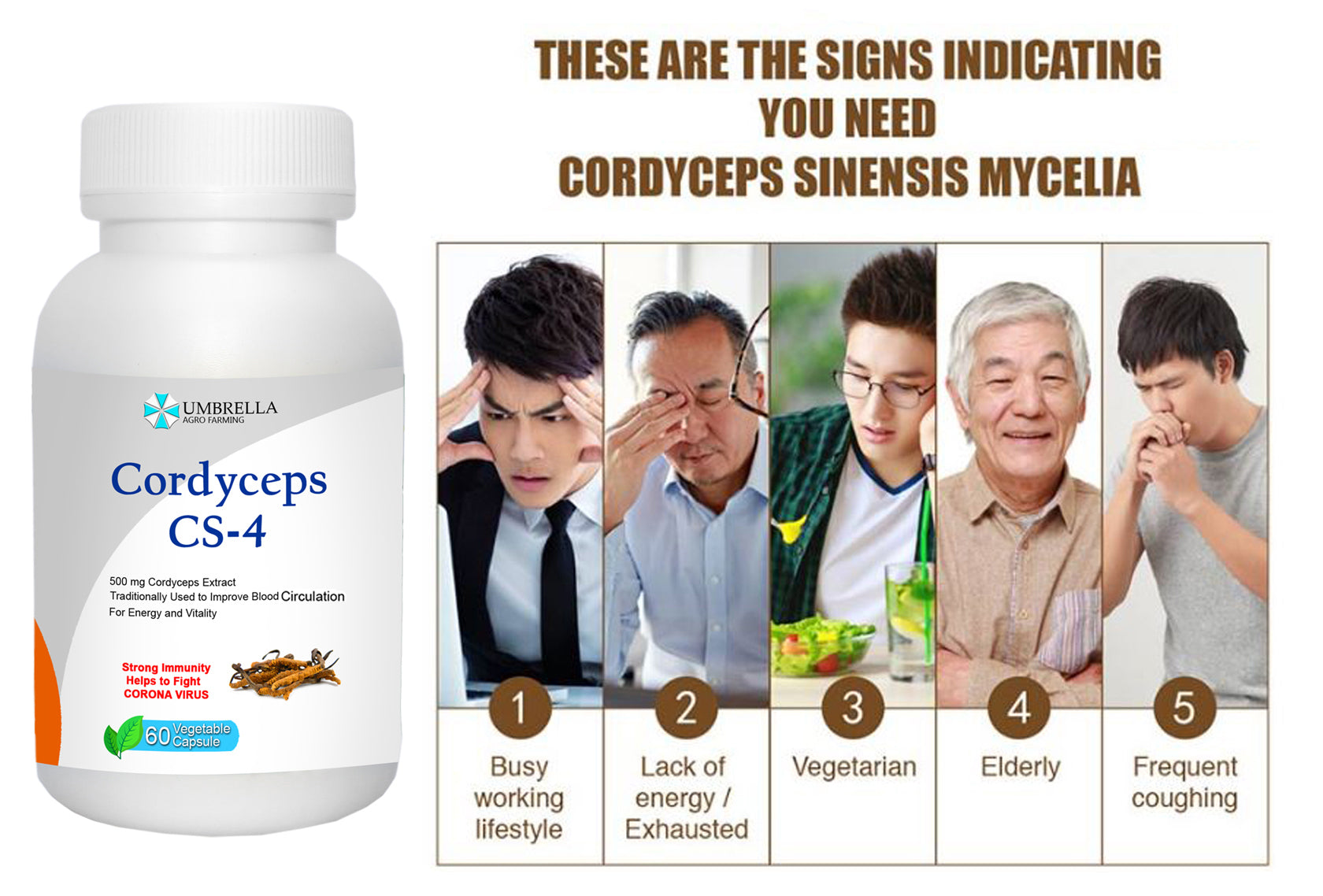 Cordyceps CS-4 Capsule